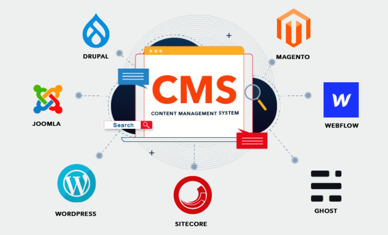 How to Choose the Right Content Management System for Your Website