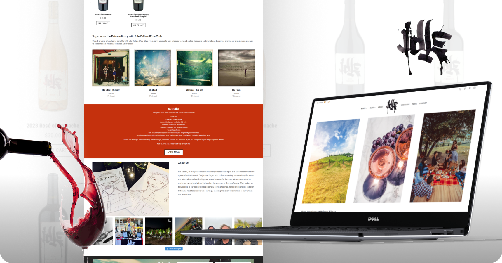 Portfolio image