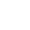Main Icon