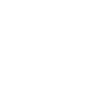 Main Icon