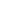 Main Icon