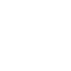 Main Icon