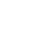 Main Icon
